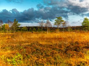 Supporting image for story: ‘Power of peatlands’ embraced in new strategy to tackle climate crisis