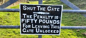 A sign identical to this one was stolen  