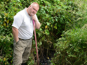 Supporting image for story: Stream contaminated by raw sewage