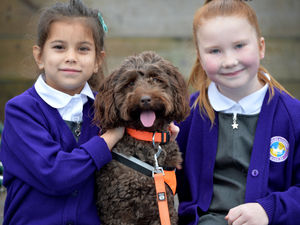 Supporting image for story: Nelly lends a helping paw to keep pupils smiling at school