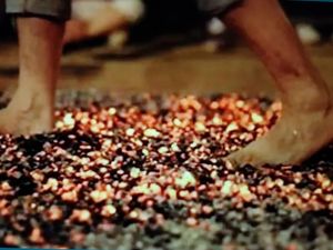 Supporting image for story: Walsall charity seeking brave 'soles' - have you got what it takes?