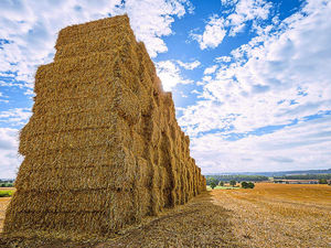 Supporting image for story: A sure sign it's harvest time in Shropshire and Mid Wales