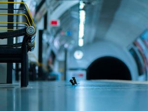 Supporting image for story