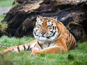 Supporting image for story