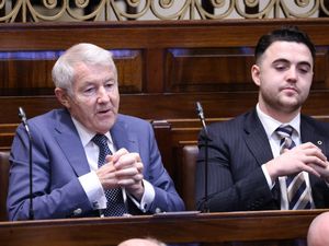 Supporting image for story: Dail expected to return to normality after speaking rights row resolved
