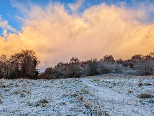 Snow in Telford on Wednesday mnorning. Photo: Liam Ball @Liam_Ball92 / @ShropshireWX