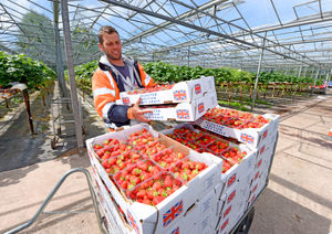 Marius Canstantinesco at Canalside Farm, Stafford