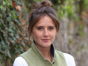 Supporting image for story: Landlords need to keep the right side of new energy rules