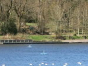 Supporting image for story: Llandrindod Transition will be presenting a talk by a climate change expert on Tuesday, February 25