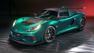 Supporting image for story