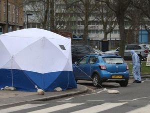 Supporting image for story