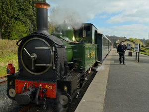 Supporting image for story: Race the Train will go ahead next year despite poor turnout