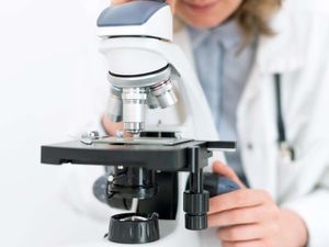 Supporting image for story: Scientists find new pathway which could help prevent diet-related liver cancer
