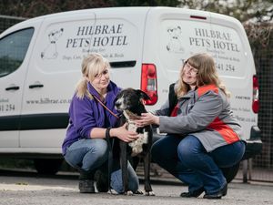 Supporting image for story: Firm’s pet project delights Telord rescue kennels