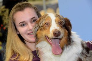 Crufts at the NEC in Birmingham