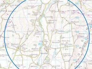 Supporting image for story: Council releases bird flu advice after surveillance zone enacted in Shropshire