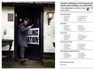 Supporting image for story: European elections: When, where and how to vote and other questions answered