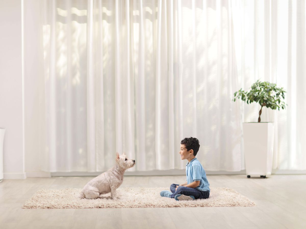 Children who grow up with dogs less likely to have asthma &ndash; study