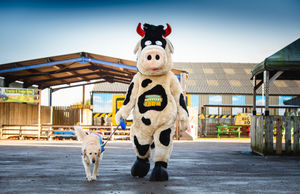 Crumpet the Cow and CJ the dog representing Guide Dogs charity