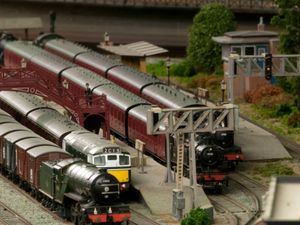 Supporting image for story: End of the line for model railways? Birmingham's huge show suspended for 'foreseeable future'