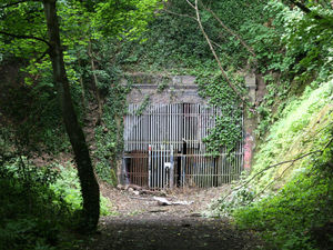 Supporting image for story: No light at the end of disused Bridgnorth railway tunnel