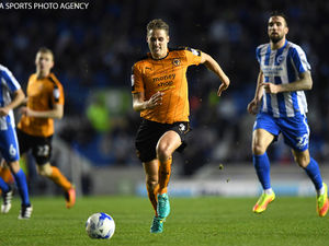 Supporting image for story: Wolves blog: Brighton are a team Paul Lambert should try and emulate