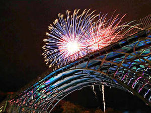 Supporting image for story: Bonfire night busy time for Shropshire fire crews