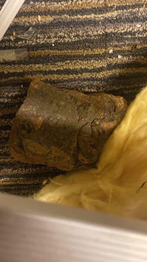 The brick thrown through The Carrington Club window