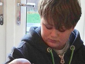 Supporting image for story