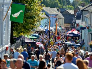 Supporting image for story: 'Plenty still going on' after upset over cancellation of Bishop's Castle Michaelmas Fair  