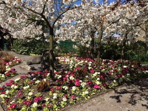 Supporting image for story: Gardens revamp under way at Telford Town Park 