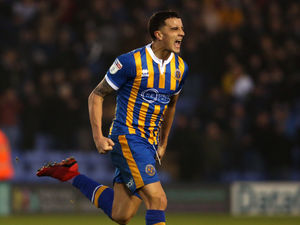 Supporting image for story: Shrewsbury 3 Rochdale 2: Match highlights