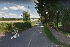 Supporting image for story