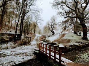 Supporting image for story: GALLERY: More of your photos as snow falls across Shropshire
