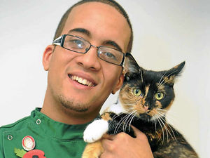 Supporting image for story: Bid to find owner of tortoiseshell cat hit twice by cars in Staffordshire