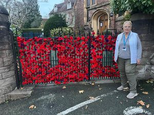 Supporting image for story: ‘Idiotic and shameful behaviour’: Anger as poppy display at Bridgnorth church 'vandalised'