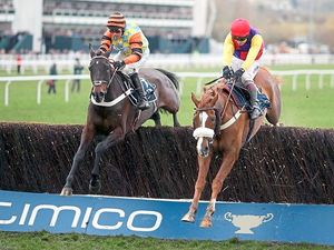 Supporting image for story: WIN! Tickets to see the Cheltenham Gold Cup
