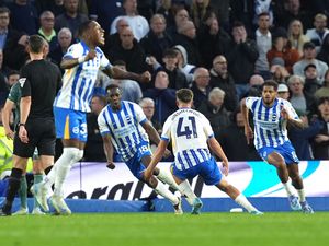 Supporting image for story: Brighton fight back from two goals down to beat Tottenham in Amex thriller