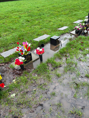 Pics sent in
Permission for use for LDR partners 