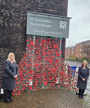 Supporting image for story: Handcrafted poppy display unveiled ahead of Remembrance Day
