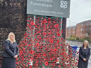 Supporting image for story: Handcrafted poppy display unveiled ahead of Remembrance Day