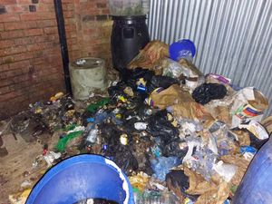 Supporting image for story: Pictured: Grim state of Brierley Hill takeaway forced to close twice in six months due to 'rat activity'