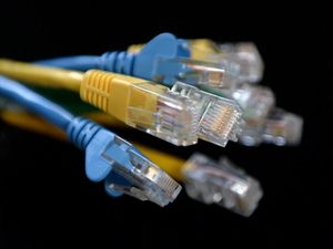 Supporting image for story: Nearly half of students want voice assistant to help with work, research finds