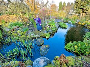 Supporting image for story: National Garden Scheme: ‘Magnificent’ attraction opens to public this weekend