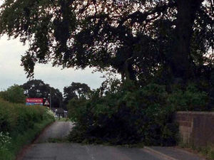Supporting image for story: Tree down amid lightning strikes as storm hits Shropshire
