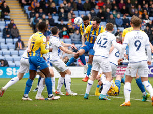 Supporting image for story: Shrewsbury vs Morecambe - Match preview 