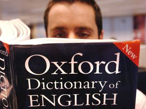 Supporting image for story: Video game terminology and Dutch word added to Oxford English Dictionary