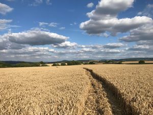 Supporting image for story: Thieves steal ride-on mowers and cut their way through Shropshire fields