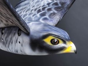 Supporting image for story: Robot birds are being used to scare away real birds at this airport