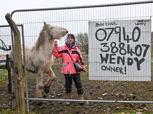 Supporting image for story: Horse rescue operator in bitter Wolverhampton land dispute awaits imminent arrival of bailiffs